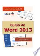 libro Curso De Word 2013
